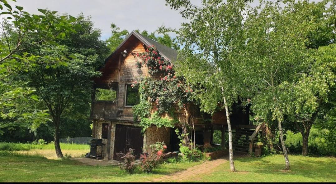 Log Cabin Belgrade Exterior photo